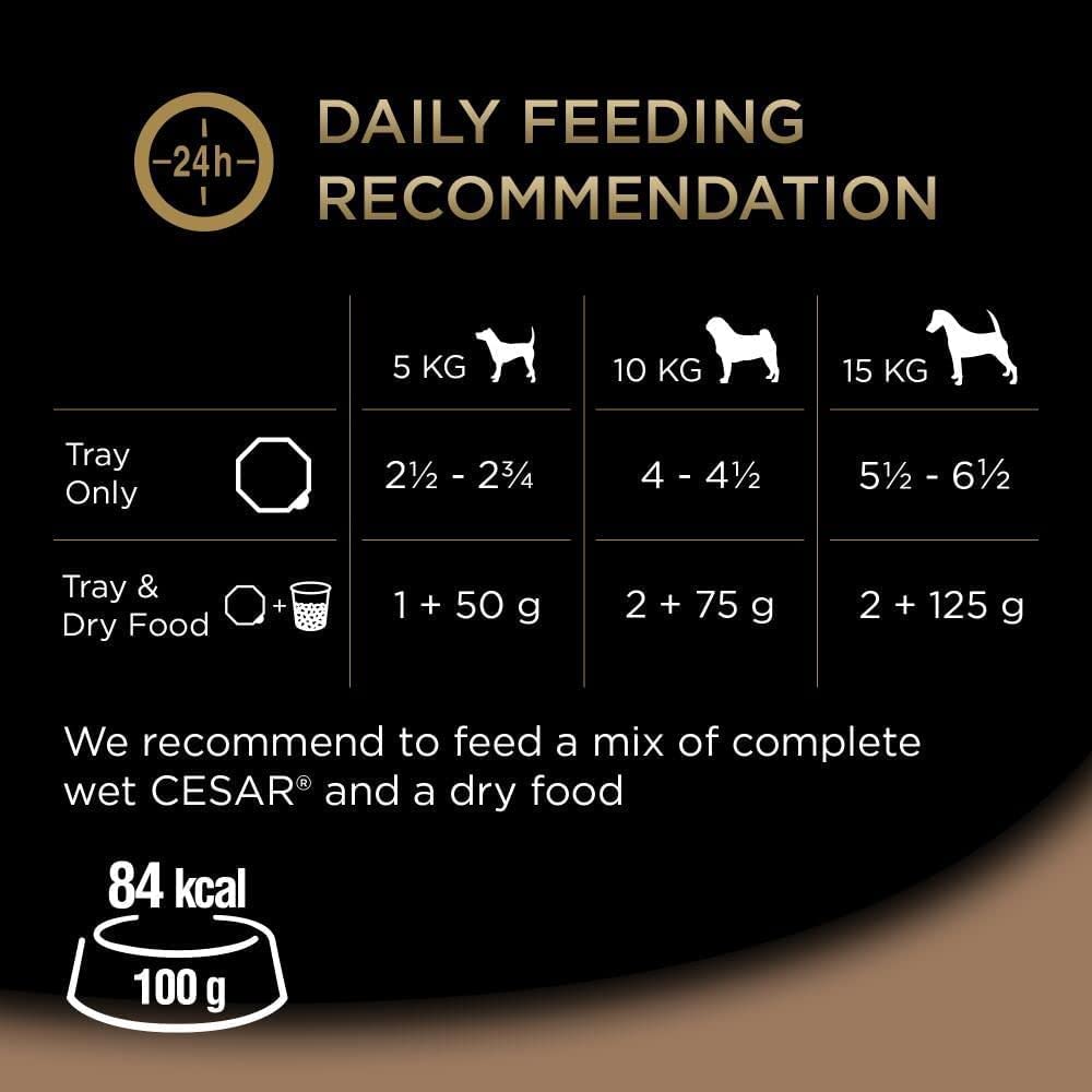 CESAR Pouch Selection in Jelly, Fresh Adult Wet Dog Food Pouches in Delicious Jelly with Succulent Meats and Vegetables, 48 x 100 g