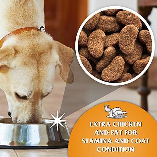 Dr John Gold Dry Dog Food 15kg - Chicken & Vegetables Complete Dog Food - High Energy Adult & Senior Dog Food for Active & Working Dogs - Balanced Daily Nutrition