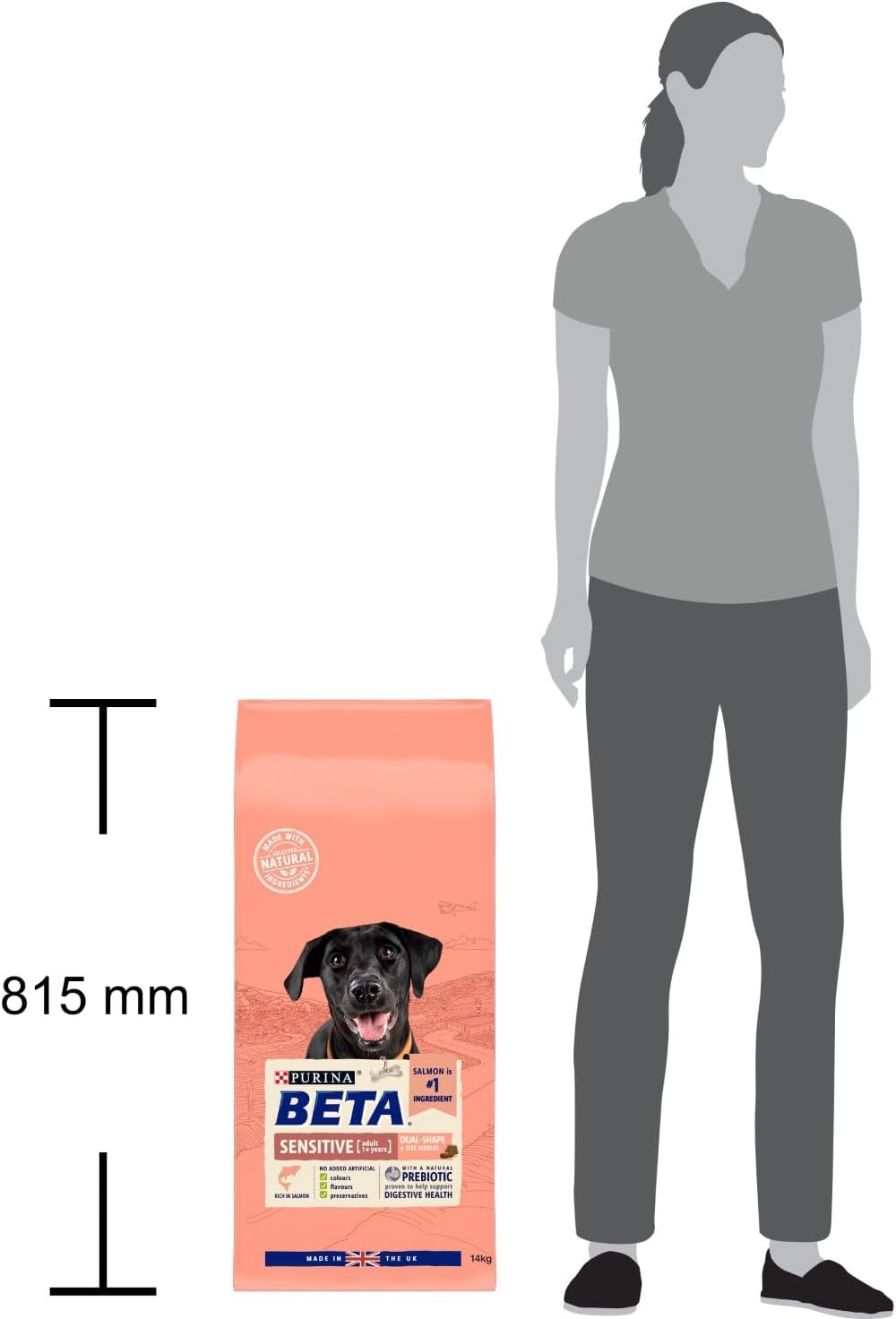 BETA Adult Sensitive Salmon Dry Dog Food 14kg