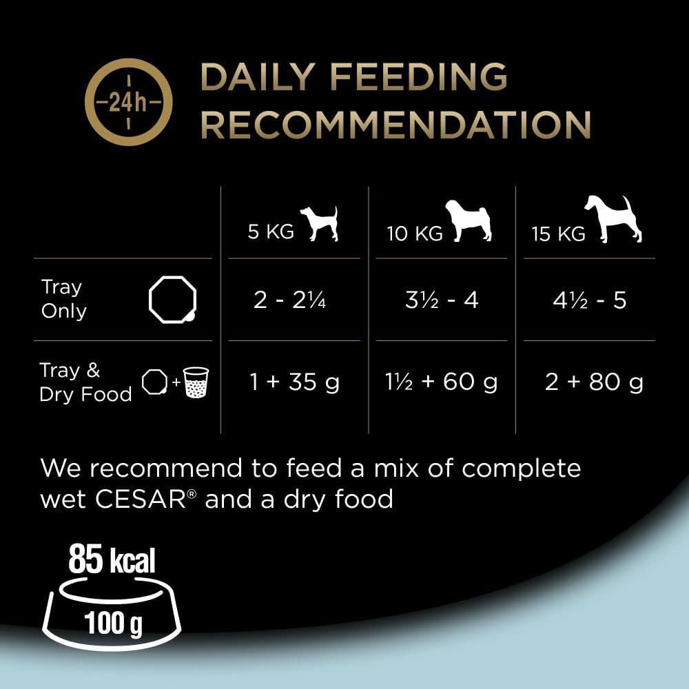 CESAR Pouch Selection in Jelly, Fresh Adult Wet Dog Food Pouches in Delicious Jelly with Succulent Meats and Vegetables, 48 x 100 g