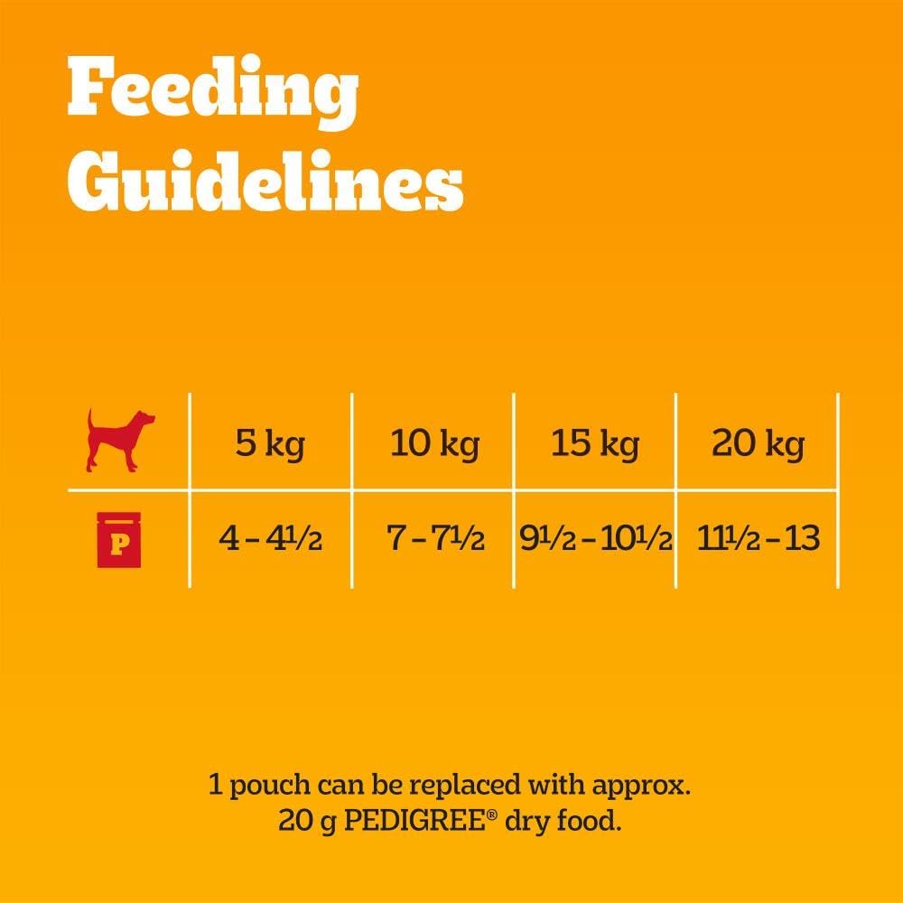 PEDIGREE Adult Dog Food Pouches Mixed Selection in Jelly 40 x 100 g Mega Pack