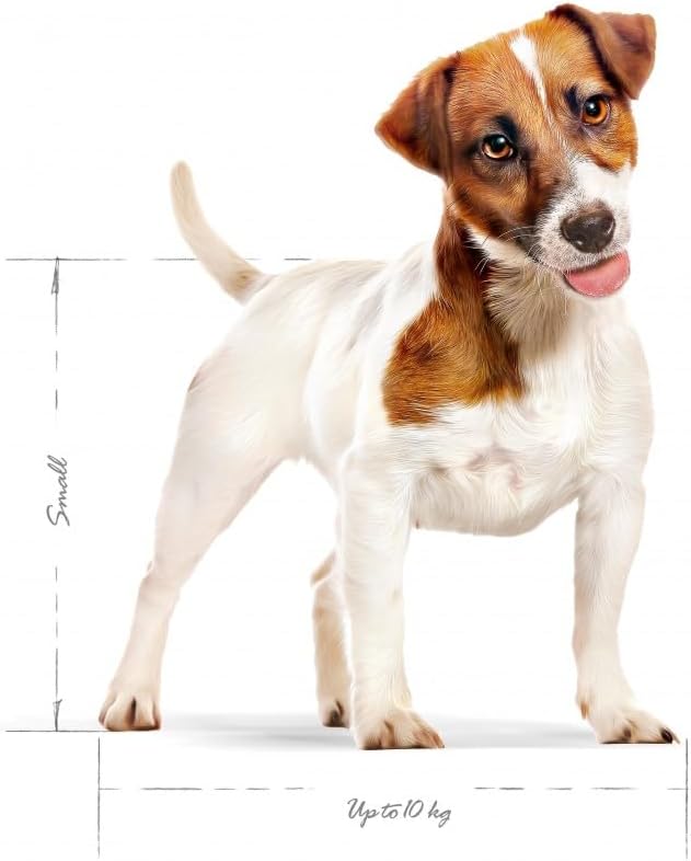Royal Canin Mini Adult 4 kg