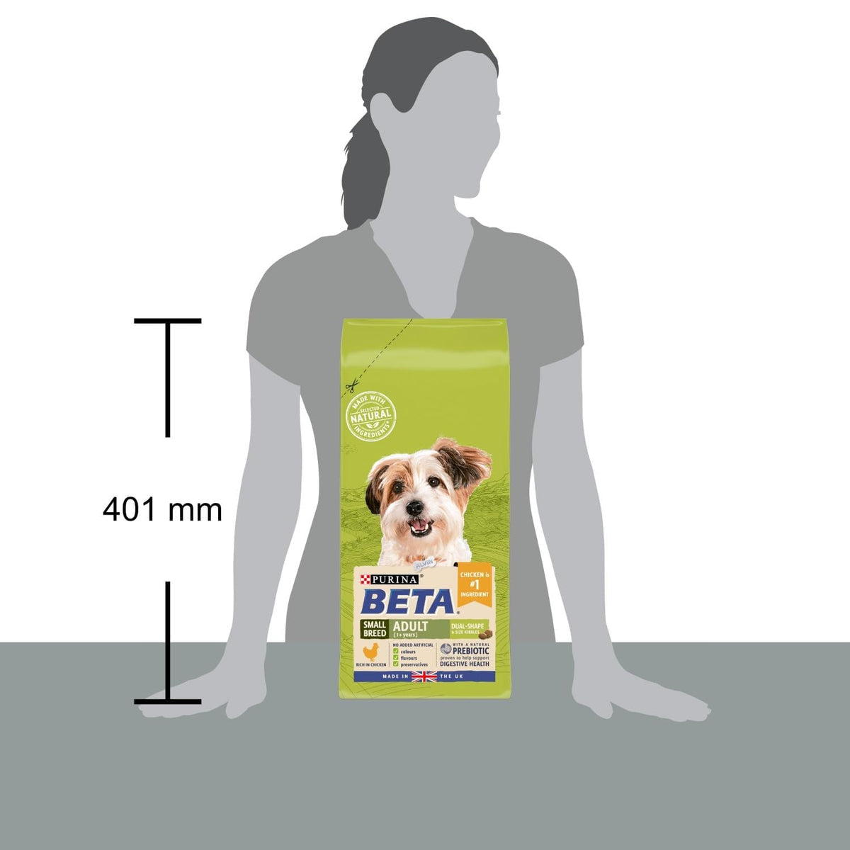 BETA Adult Sensitive Salmon Dry Dog Food 14kg