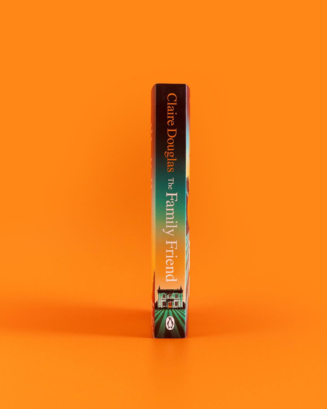 The Family Friend: The dark and addictive new thriller about murder, memory and the secrets that won’t stay hidden ― from the No. 1 Sunday Times bestselling author