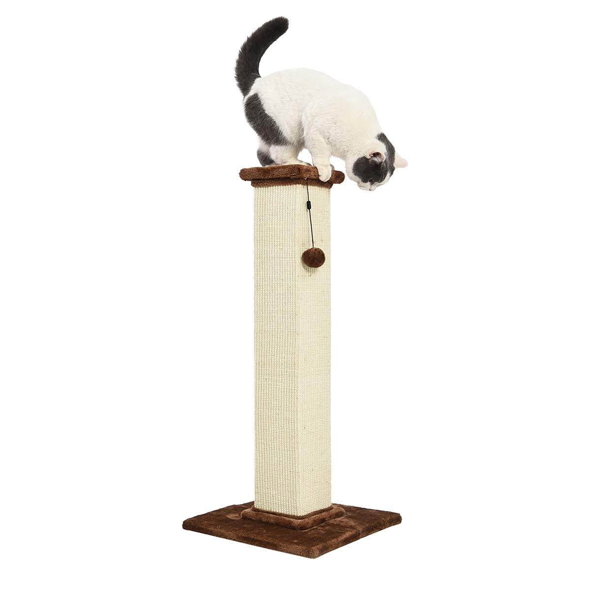 Amazon Basics Cat Scratching Post for Indoor Cats, Standard with Dangling Toy, 80 cm, Grey