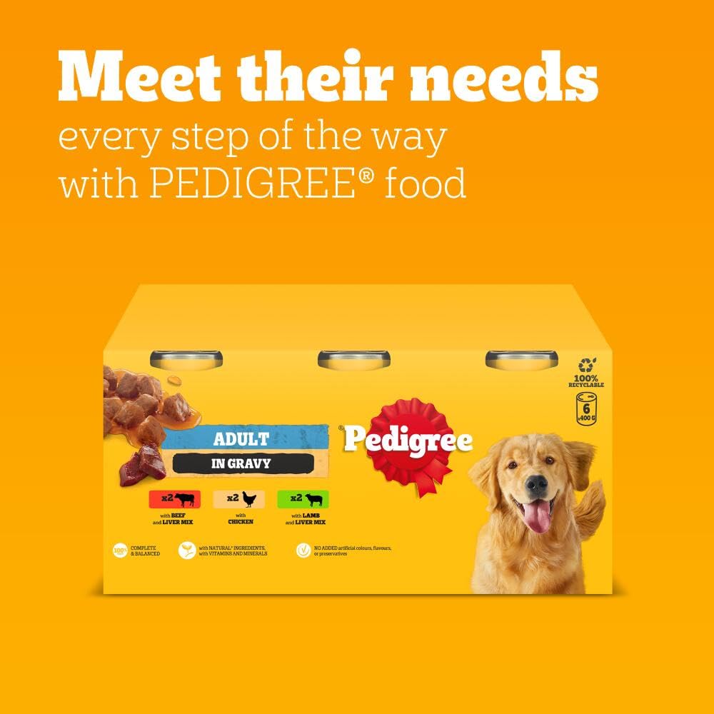 Pedigree Adult Dog Wet Food Can, Mixed Selection Gravy, 12x400g