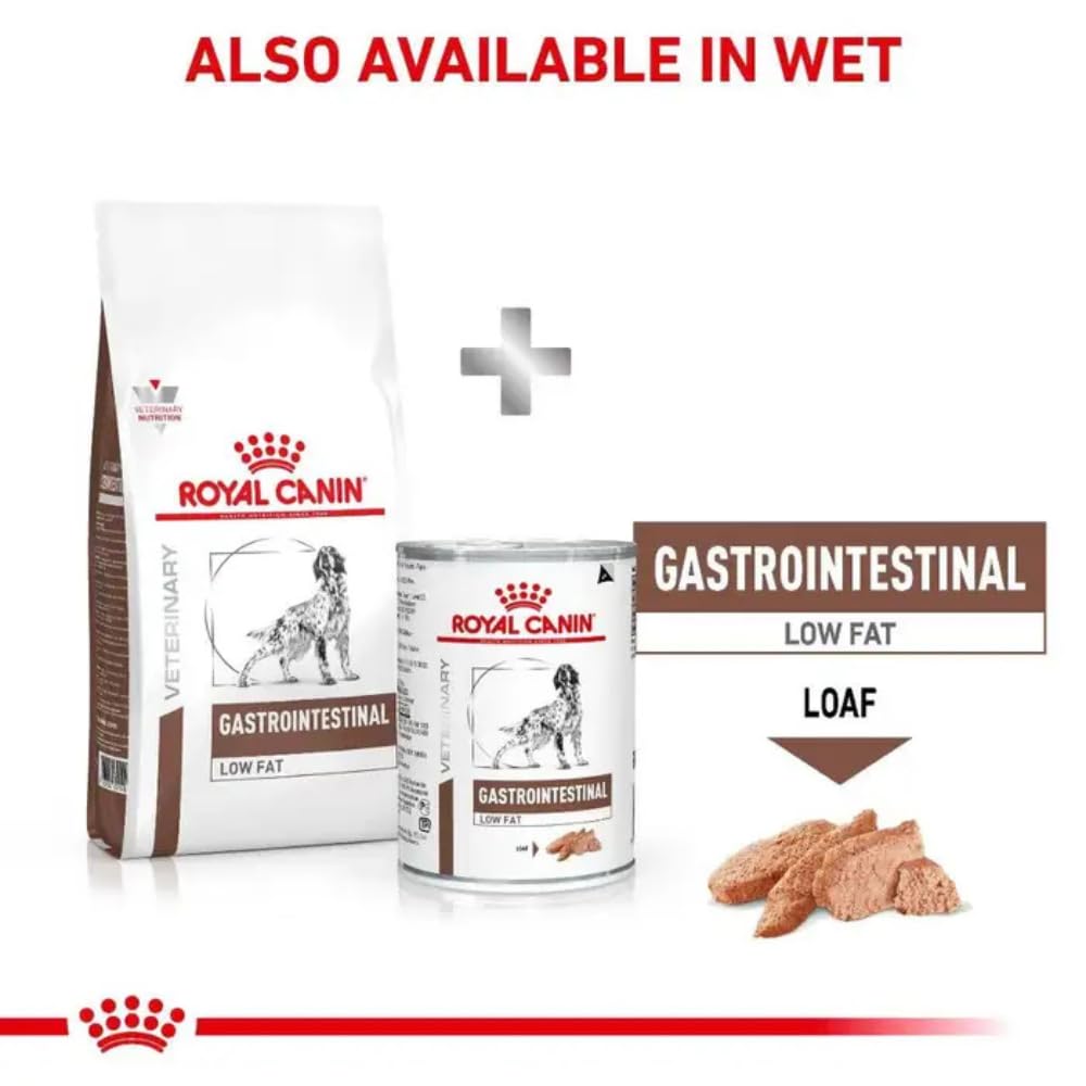 Royal Canin Veterinary Diet Dog - Gastro Intestinal Low Fat, 6kg