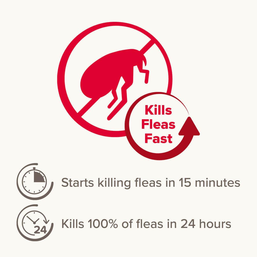 Beaphar - Flea Tablets for Medium/Large Dogs (>11kg) - 3 Treatment Pack - Rapid Knock Down of Fleas - Starts Killing Fleas In 15 Minutes, Kills 100% in 24hrs - Veterinary Medicine For Dogs > 4 Weeks