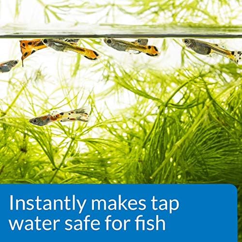 AQUARIAN Tap Water Safe Fish Aquarium Water Conditioner, 118 ml Bottle