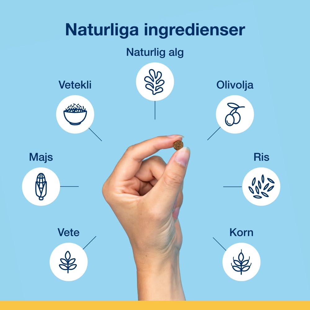 ProDen PlaqueOff Powder for Dogs & Cats, Tartar & Bad Breath Remover 100% Natural Teeth Cleaner and Plaque Remover 60 g