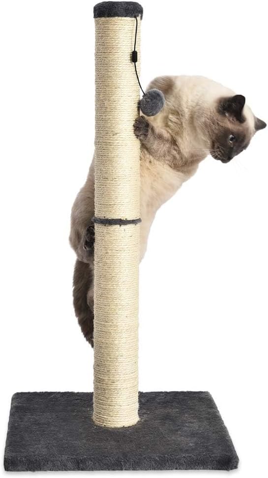 Amazon Basics Cat Scratching Post for Indoor Cats, Standard with Dangling Toy, 80 cm, Grey