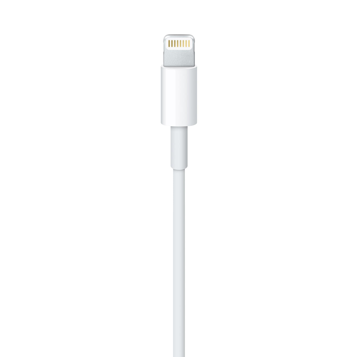 Apple USB-C to Lightning Cable