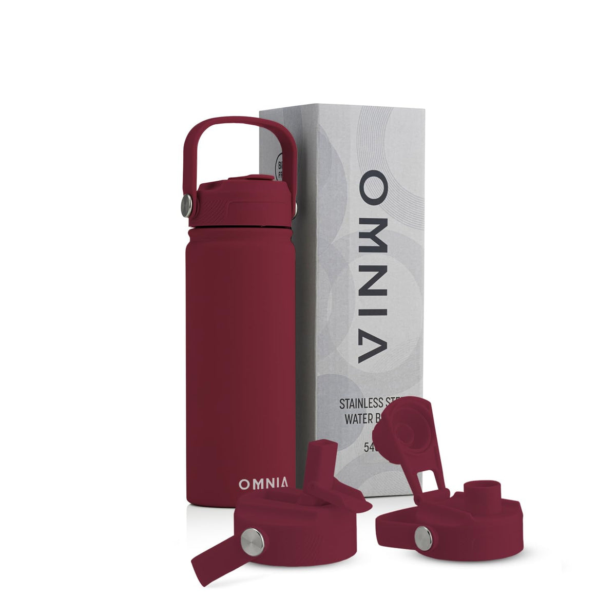 Vacuum Insulated Stainless Steel Water Bottle, 2 Lids (Straw & Spout) Leakproof, BPA-Free, Reusable Flask Ideal for Travel and Outdoors (Gradient Purple - 750 ml)