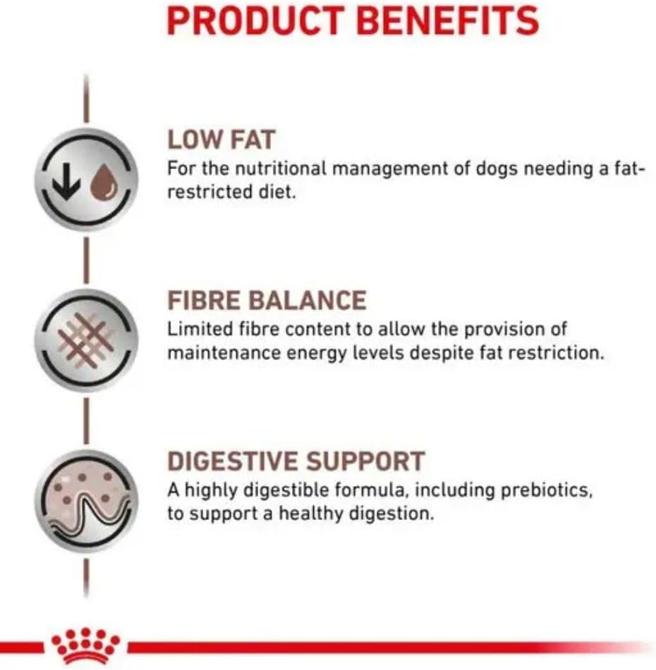 Royal Canin Veterinary Diet Dog - Gastro Intestinal Low Fat, 6kg
