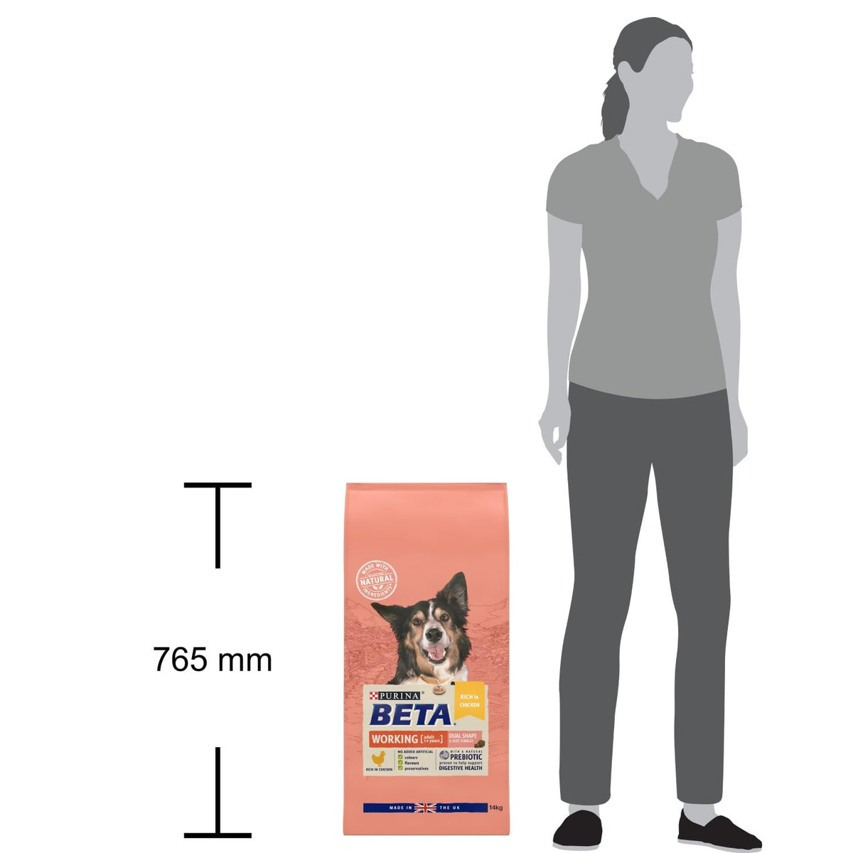 BETA Adult Sensitive Salmon Dry Dog Food 14kg
