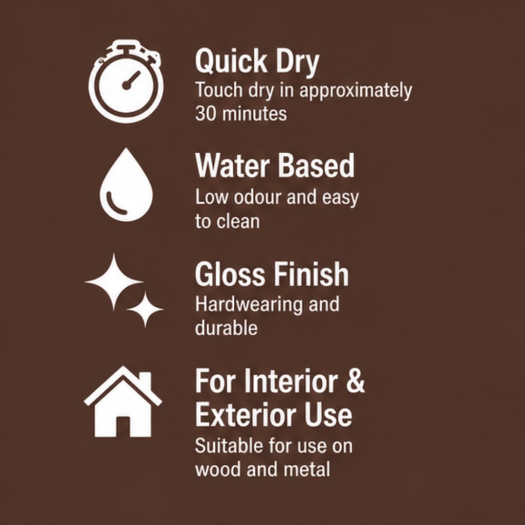 RUSTINS Small Job Satin Paint Chocolate 250ml