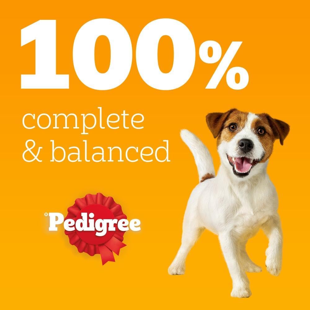PEDIGREE Adult Dog Food Pouches Mixed Selection in Jelly 40 x 100 g Mega Pack