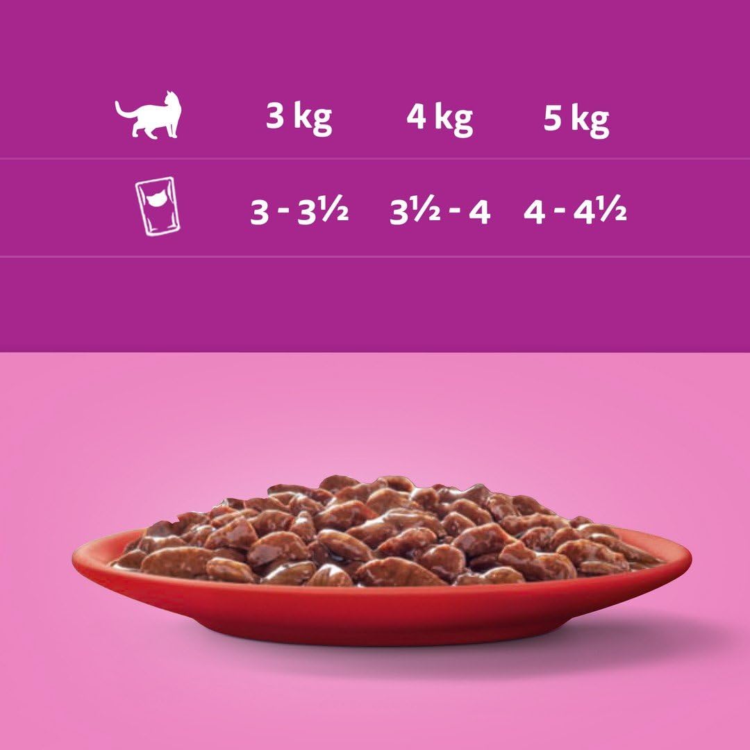 WHISKAS Adult Wet Cat Food in Jelly 40x85g Fish Favourites