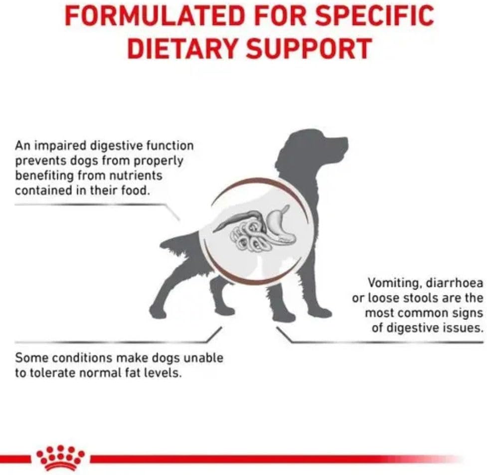 Royal Canin Veterinary Diet Dog - Gastro Intestinal Low Fat, 6kg