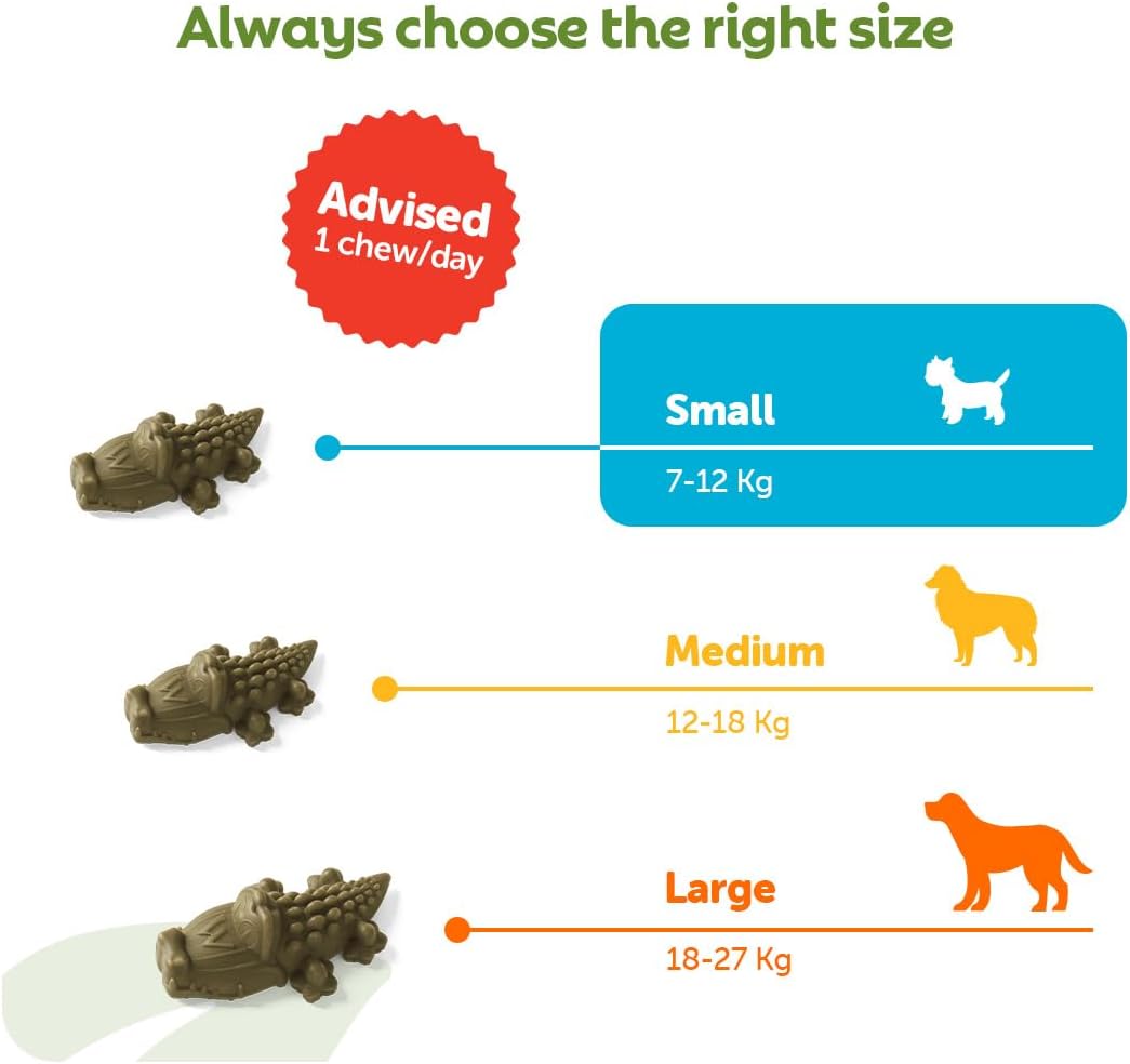 WHIMZEES Alligator S, 24 Pieces – Size S