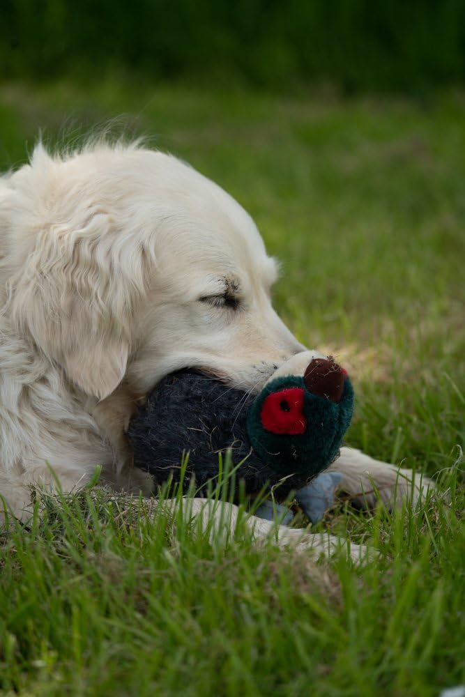 Petface Honking and Squeaky Duck Plush Dog Toy
