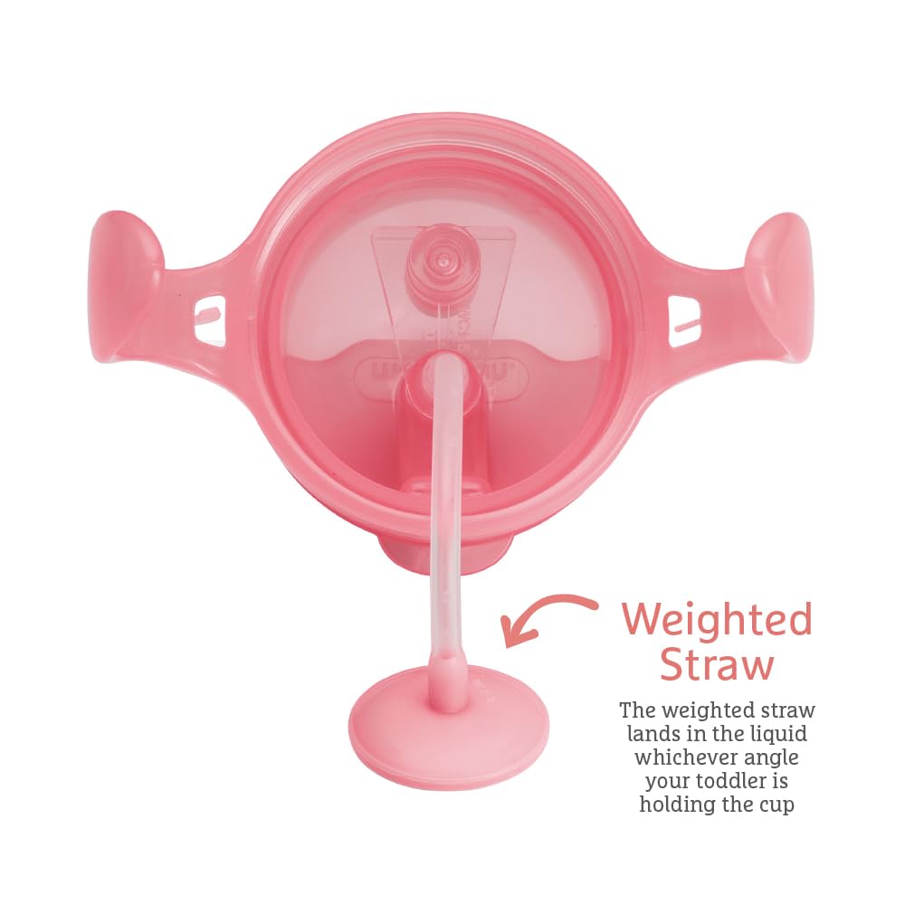 Munchkin Click Lock Tip & Sip Straw Cup Set| Baby & Toddler Sippy Cups with Straw| BPA Free Non Spill Cup| Dishwasher Safe Baby Straw Cup| Weighted Straw Childrens Cups| 7oz/207ml| 2 Pack| Pink/Purple
