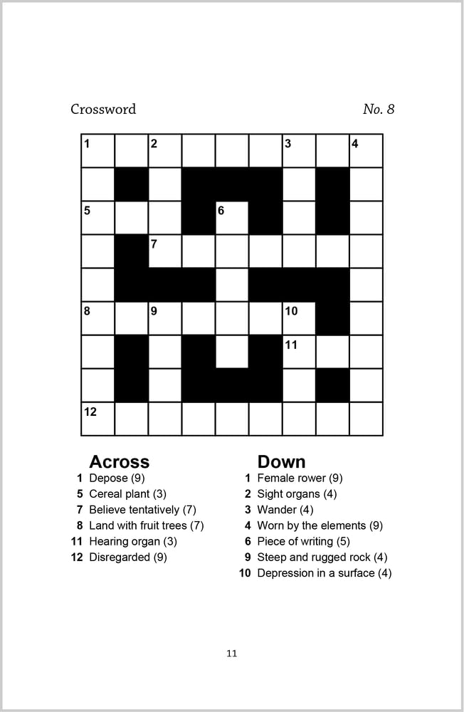 Big Book of Brain Games: a bumper mixed puzzle book for adults containing 300 puzzles (Richardson Puzzle Books)