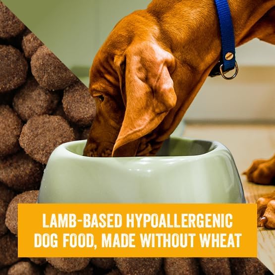 Dr John Hypoallergenic Dry Dog Food Lamb with Rice 12.5kg - Wheat Free Recipe Dog Food for Sensitive Stomach & Digestion - Complete Adult & Senior Dog Food - Skin, Coat & Joint Support