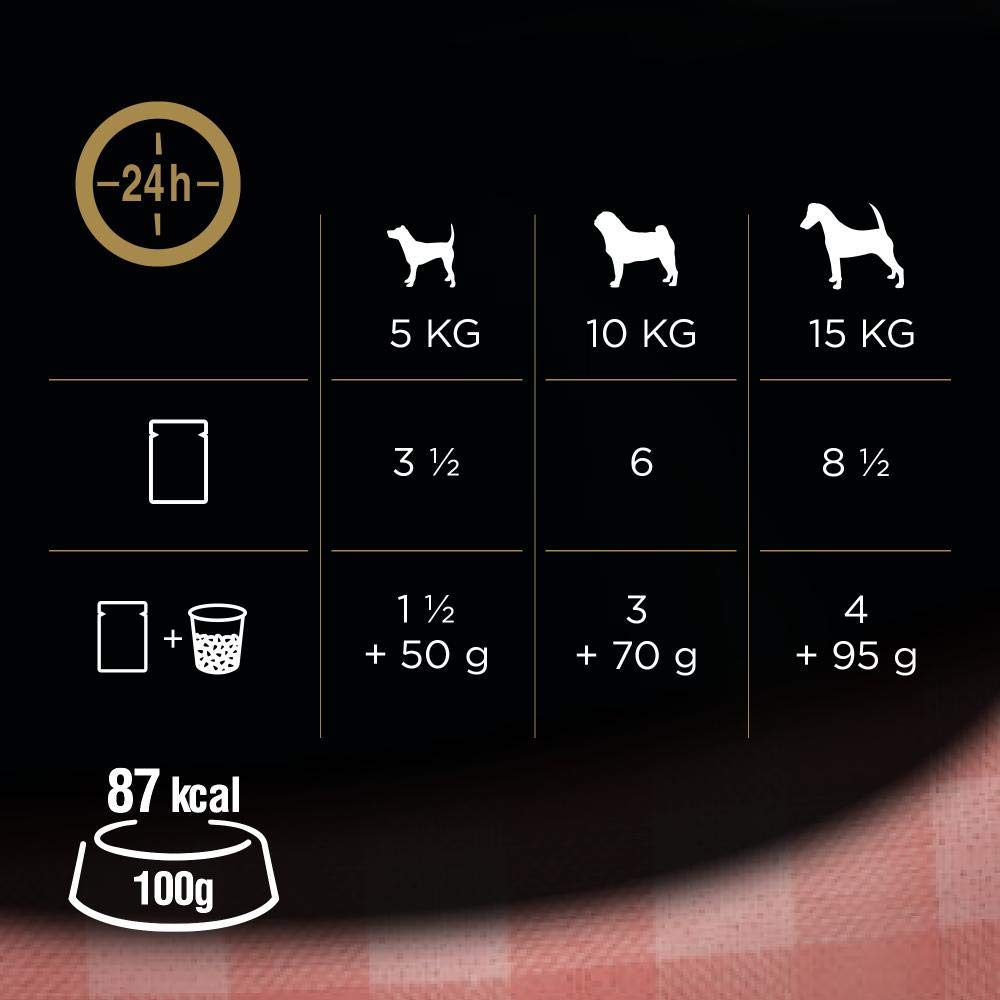 CESAR Pouch Selection in Jelly, Fresh Adult Wet Dog Food Pouches in Delicious Jelly with Succulent Meats and Vegetables, 48 x 100 g