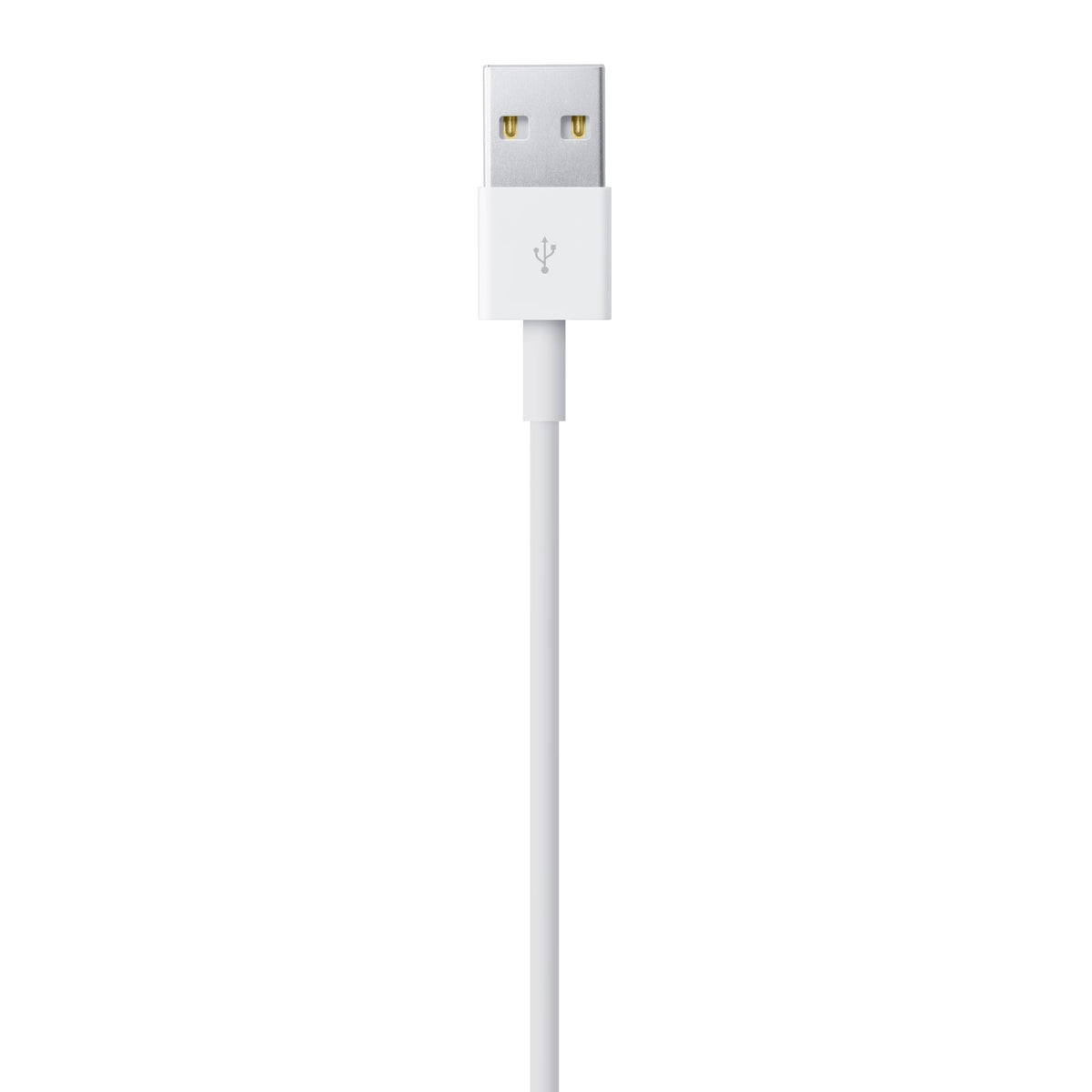 Apple USB-C to Lightning Cable