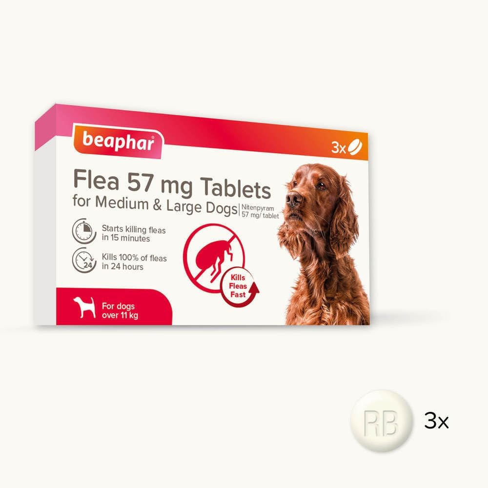Beaphar - Flea Tablets for Medium/Large Dogs (>11kg) - 3 Treatment Pack - Rapid Knock Down of Fleas - Starts Killing Fleas In 15 Minutes, Kills 100% in 24hrs - Veterinary Medicine For Dogs > 4 Weeks