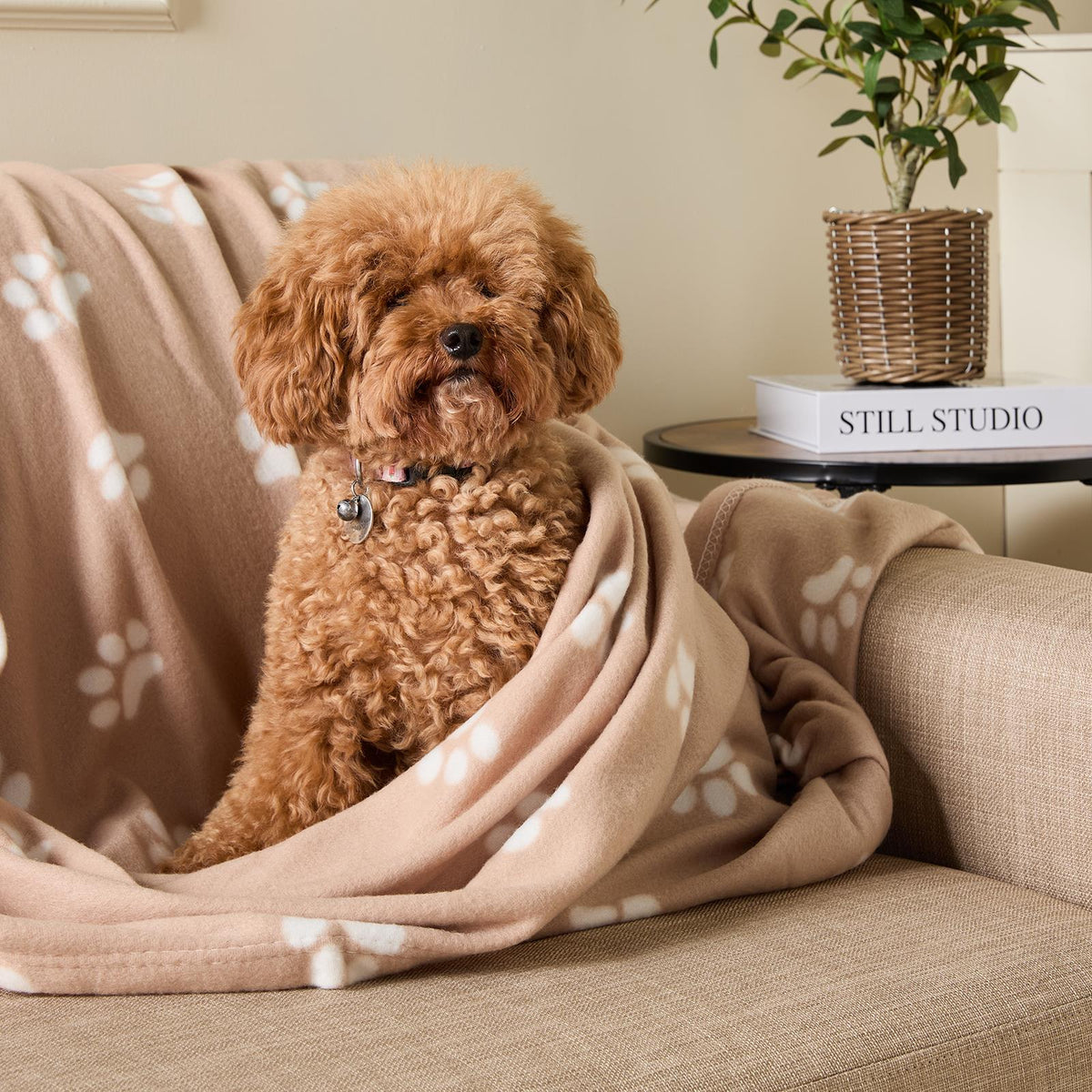 OHS Pet Blanket Dog Warm Fleece Cat Throw Paw Puppy Animal Soft Mat