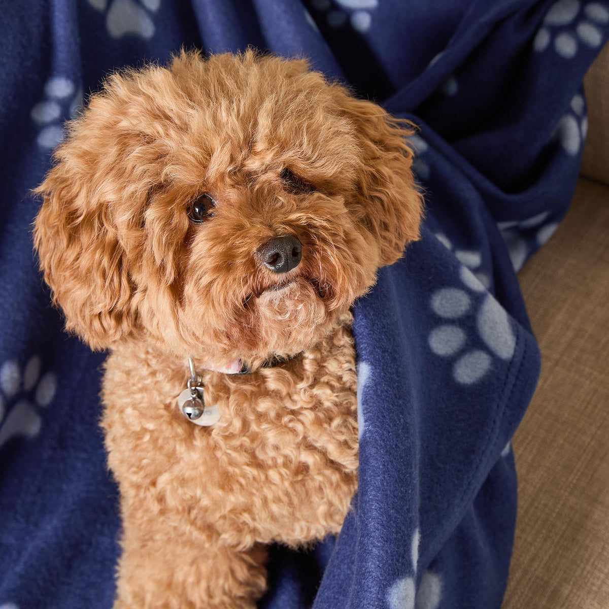 OHS Pet Blanket Dog Warm Fleece Cat Throw Paw Puppy Animal Soft Mat