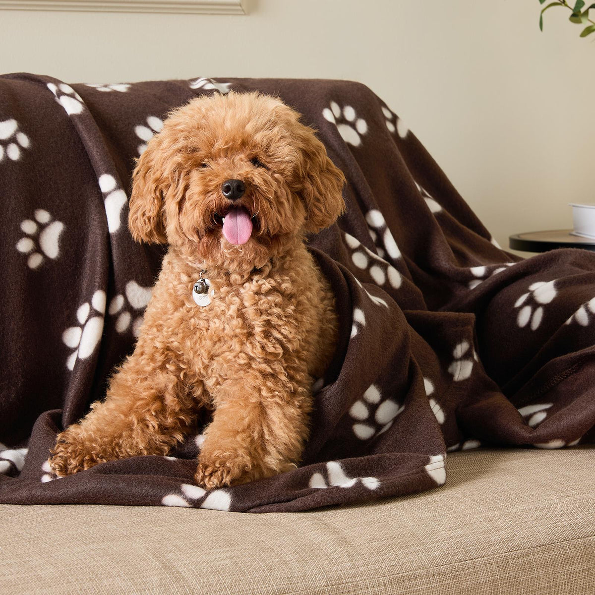 OHS Pet Blanket Dog Warm Fleece Cat Throw Paw Puppy Animal Soft Mat