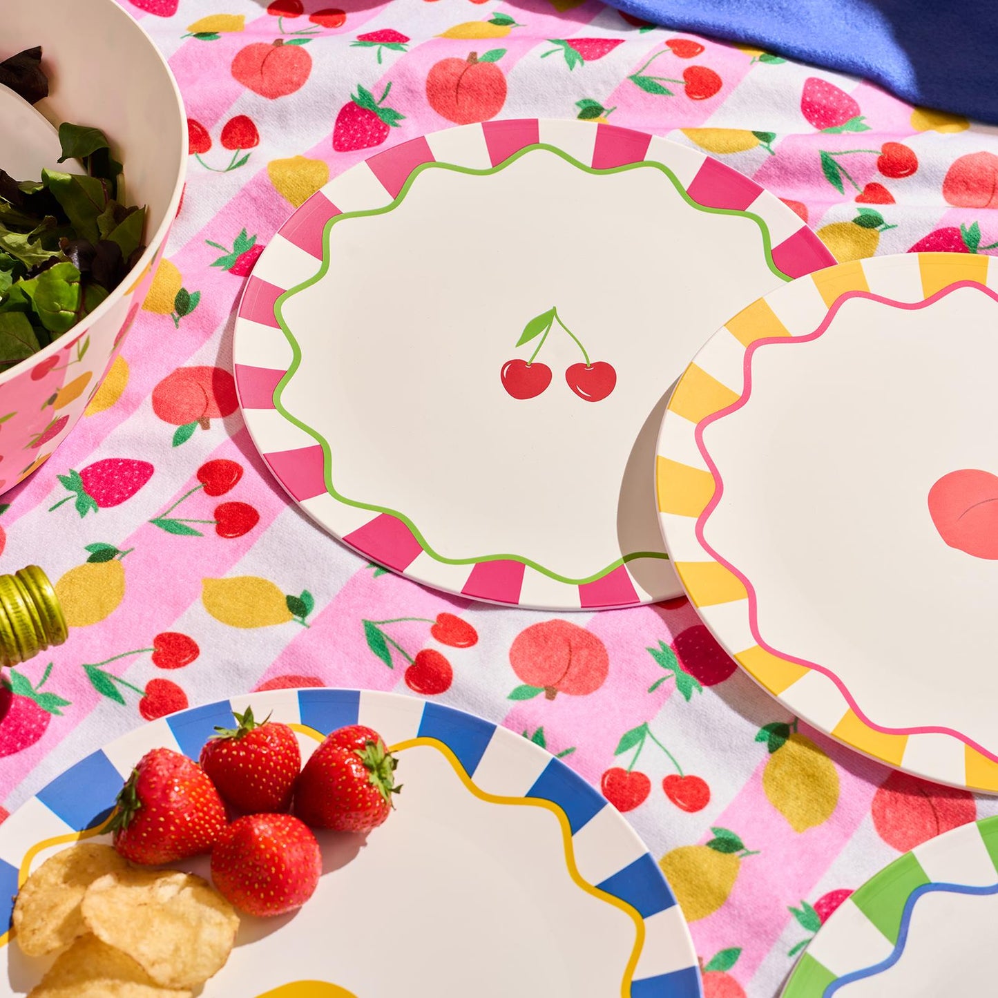 OHS Printed Picnicware Wine Cooler OR Picnic Blanket OR Bag Plates Bowls Glasses
