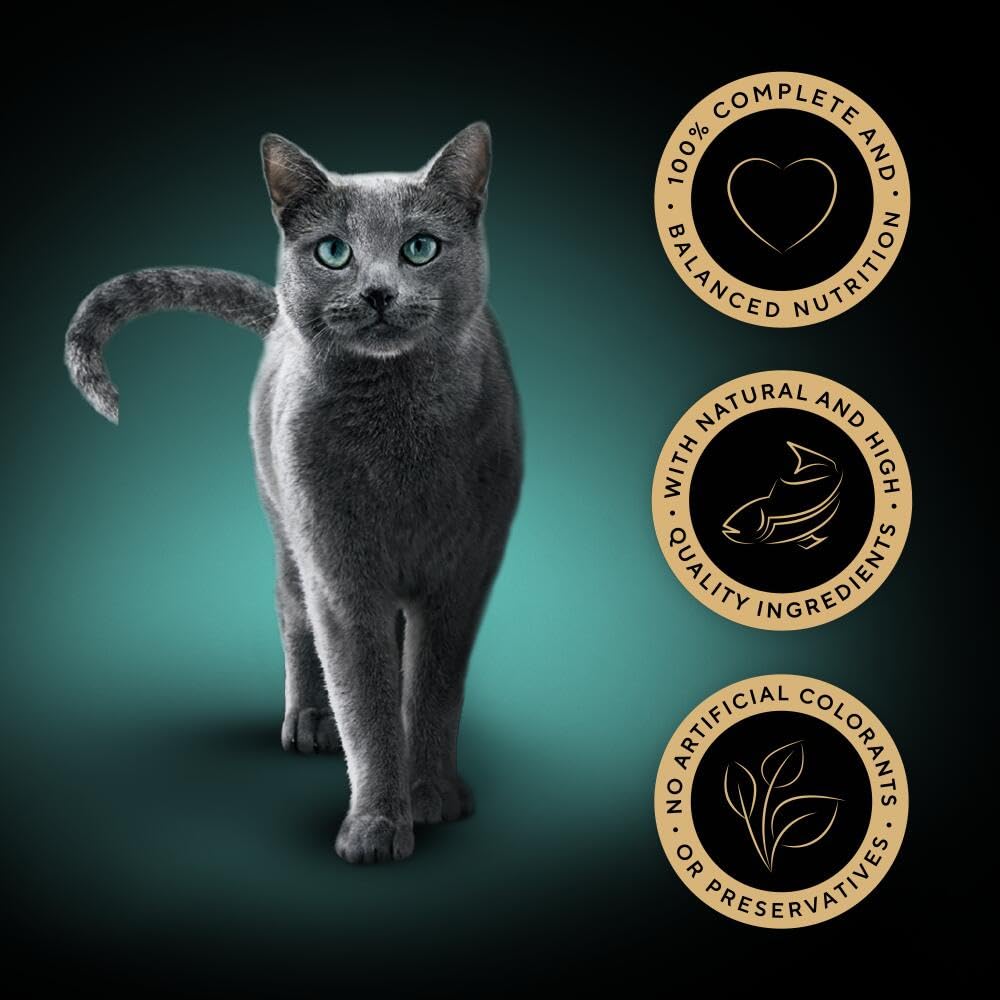 Sheba Fine Flakes in Jelly – Poultry Collection – Wet cat food pouches for adult cats – 72x85g pack