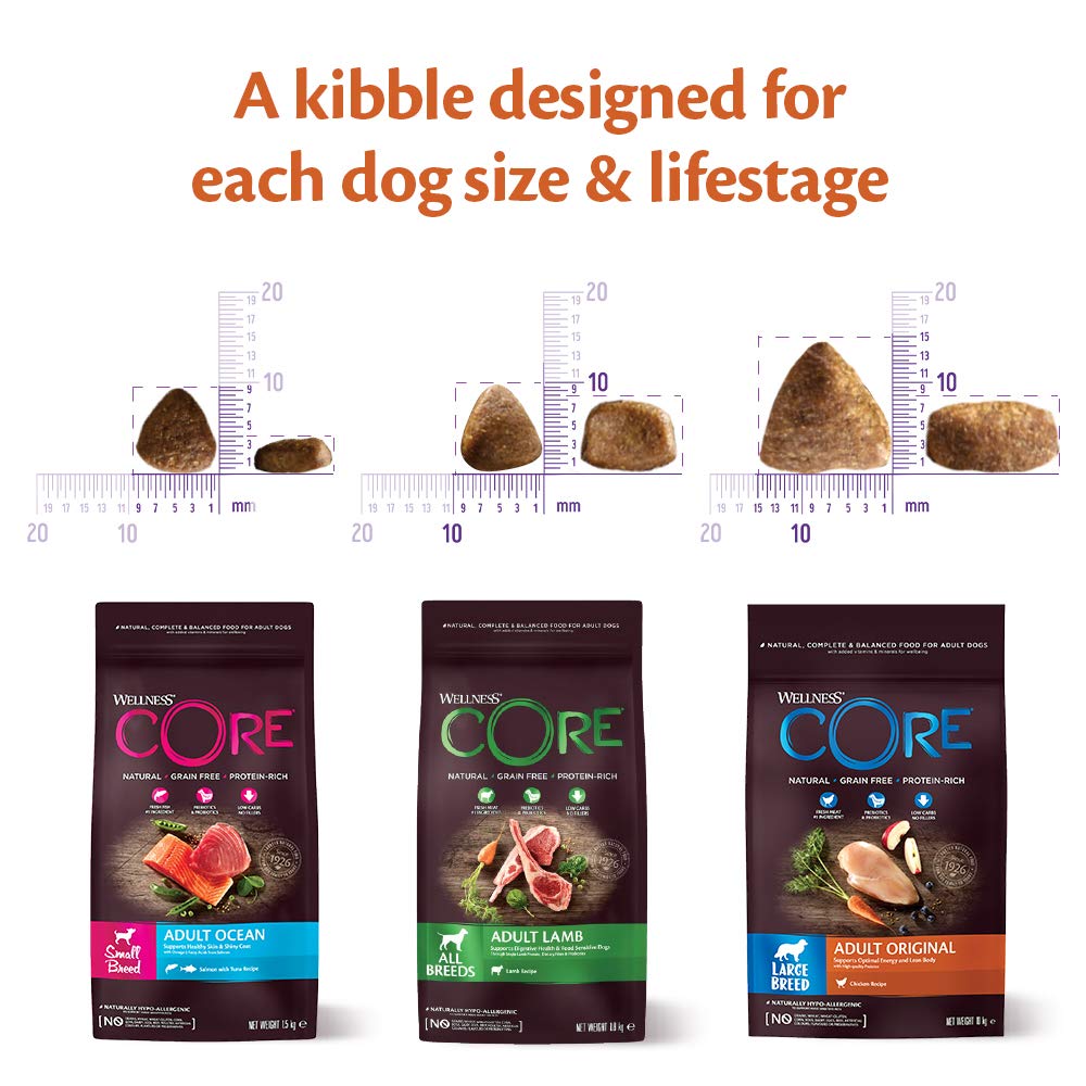 Wellness CORE Active Life 10 kg, Chicken & Turkey – Dry Dog Food