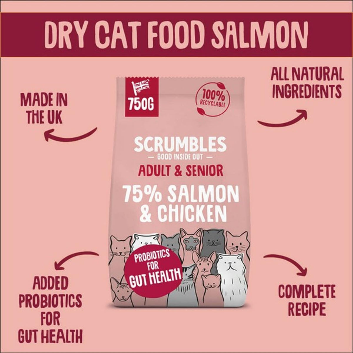 Scrumbles • Dry Cat Food • Hypoallergenic • All Lifestages • Chicken 75% • 750g Bag • Natural Complete Adult Recipe • Gut Friendly Prebiotics & Probiotics • Gluten Free