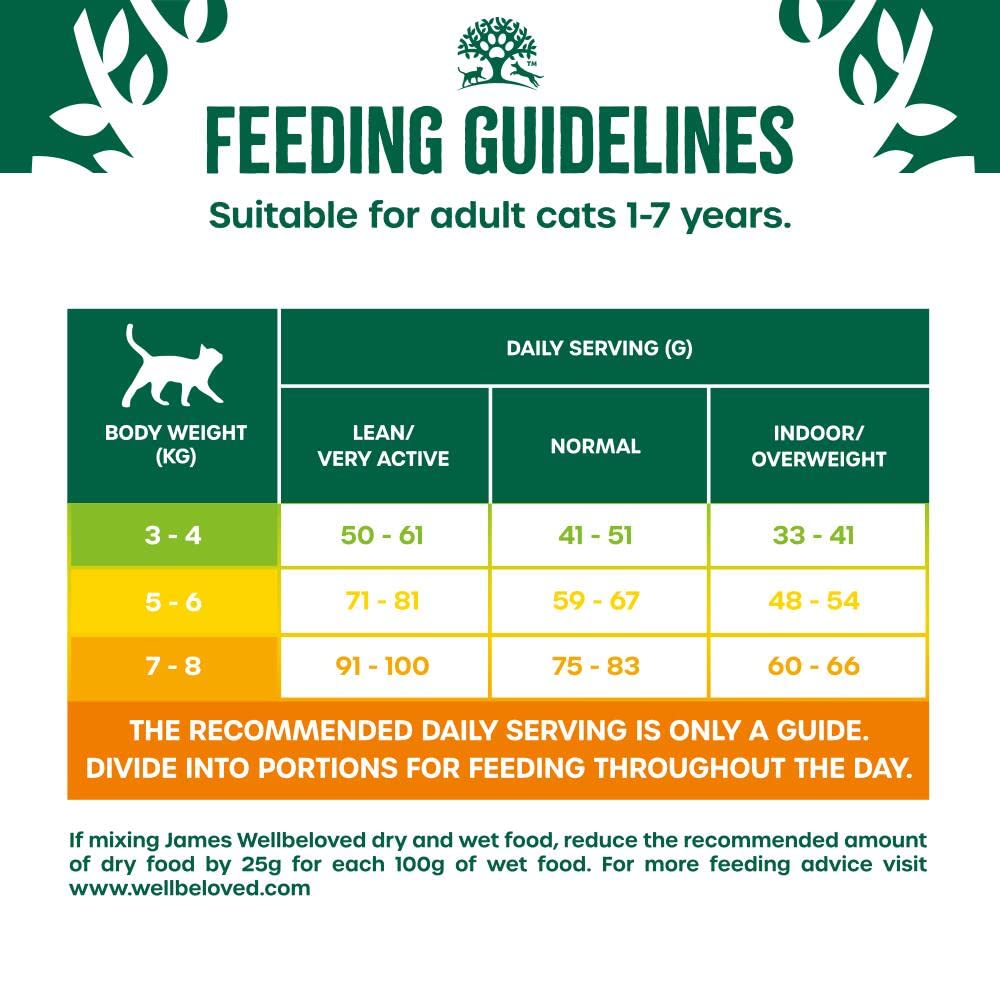 James Wellbeloved Hypoallergenic Dry Cat Food for Adult Cats Turkey 4 kg