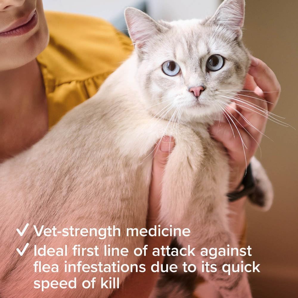 Beaphar - Flea Tablets for Cats & Kittens - 6 Treatment Pack - Rapid Knock Down of Fleas - Starts Killing Fleas in 15 Minutes, Kills 100% in 24hrs - Veterinary Medicine - For Cats from 4 Weeks Old