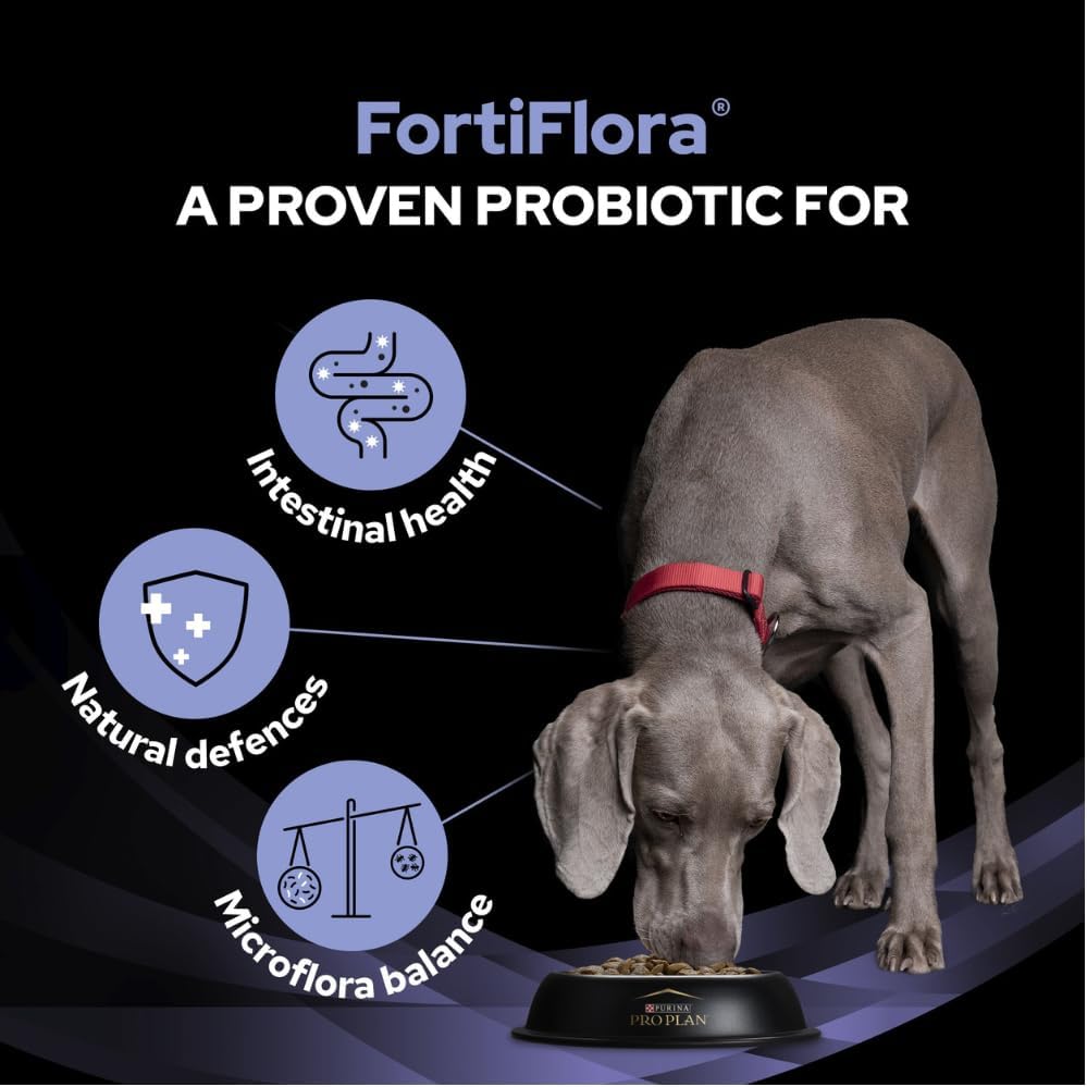 PURINA PRO Plan FortiFlora Probiotic Food Supplement for Dogs 30 x 1g Sachets | Enhances the Levels of Live Beneficial Bacteria
