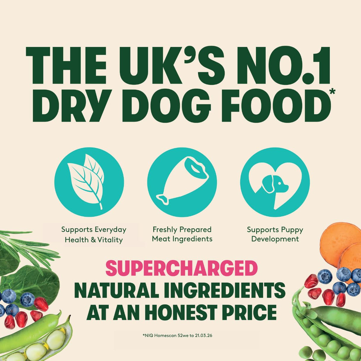 Harringtons Superfoods Complete Grain Free Dry Adult Dog Food Salmon with Veg 12kg - Made with All Natural Ingredients (Packaging may vary)