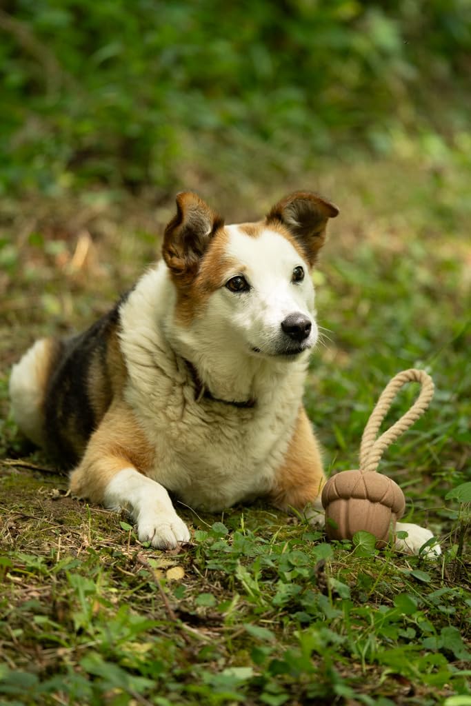 Petface Honking and Squeaky Duck Plush Dog Toy