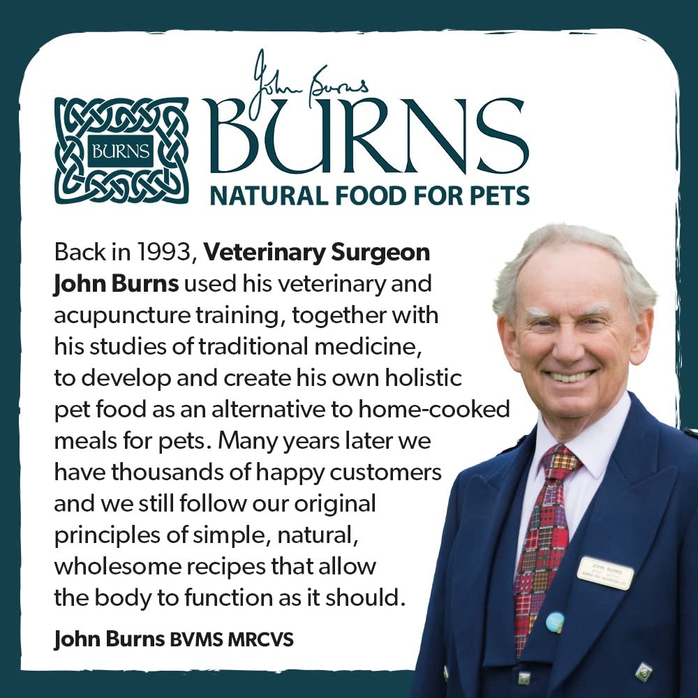 Burns Pet Nutrition Hypoallergenic Complete Dry Dog Food Adult and Senior Dog Sensitive with Pork and Potato 2 kg