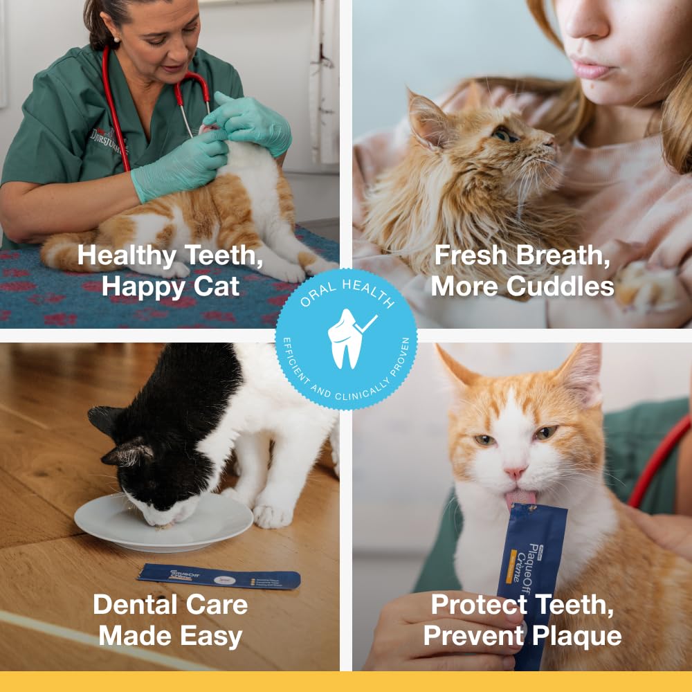 ProDen PlaqueOff 40g Dental Powder for Cats - 100% Natural, 4-Month Supply