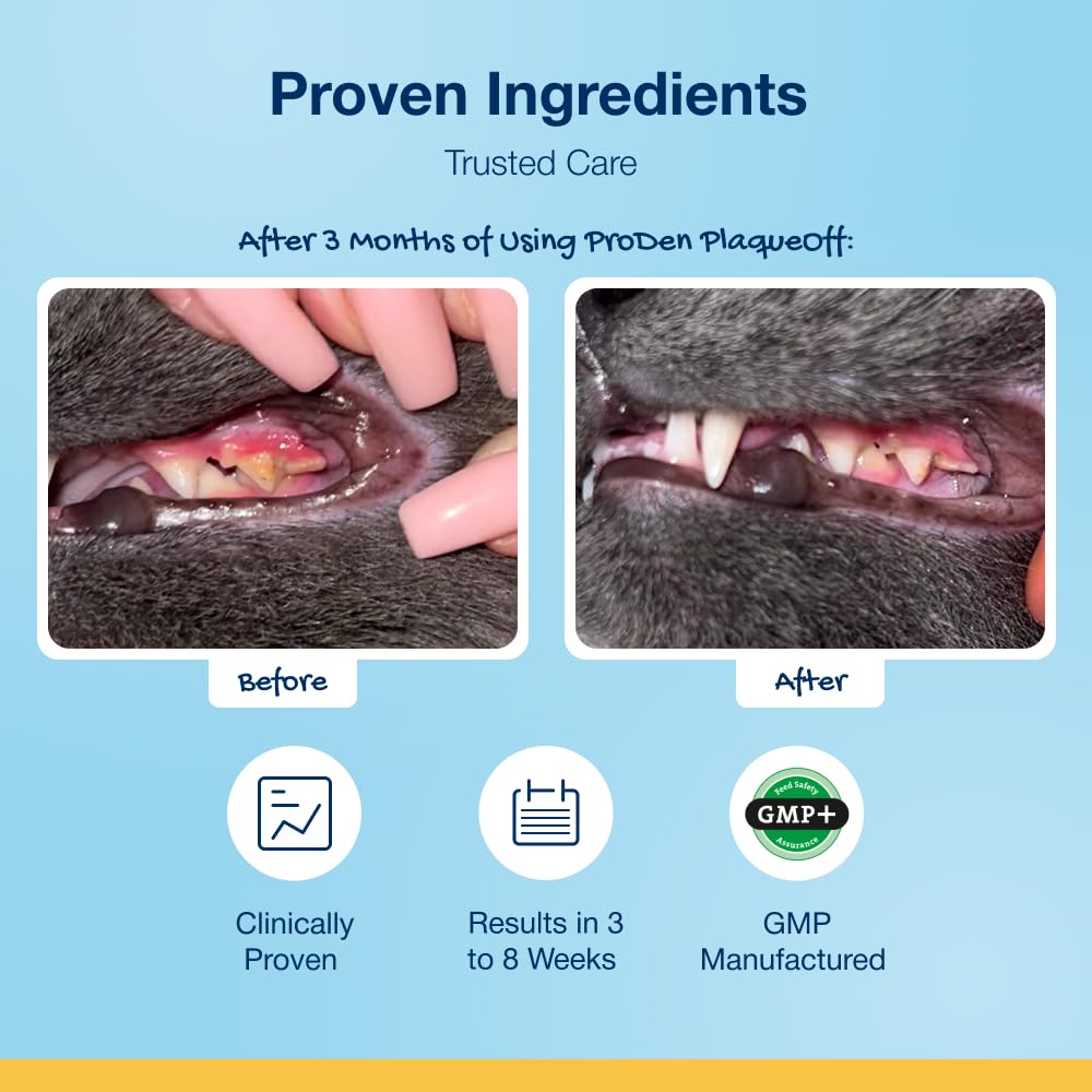 ProDen PlaqueOff 40g Powder for Cats, 100% Natural Tooth Care Powder, Protects Against Bad Breath, Helps with Tartar and Plaque