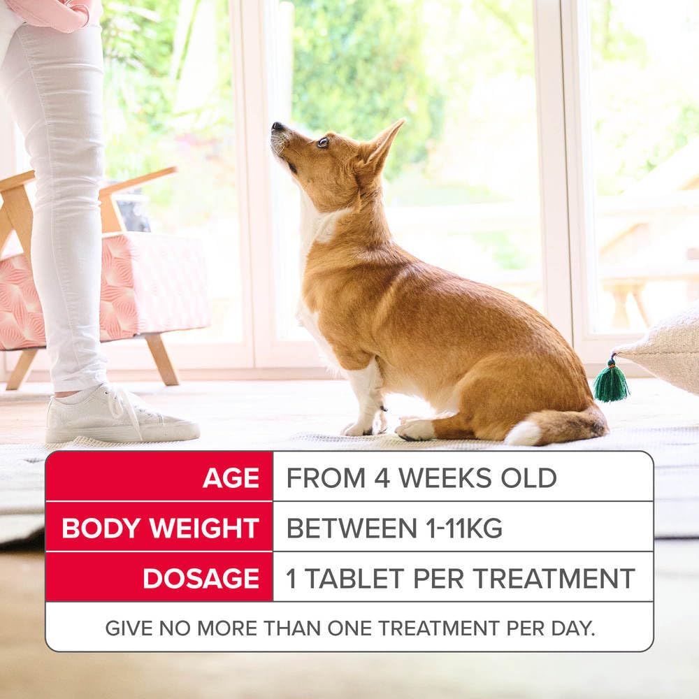 Beaphar - Flea Tablets for Medium/Large Dogs (>11kg) - 3 Treatment Pack - Rapid Knock Down of Fleas - Starts Killing Fleas In 15 Minutes, Kills 100% in 24hrs - Veterinary Medicine For Dogs > 4 Weeks