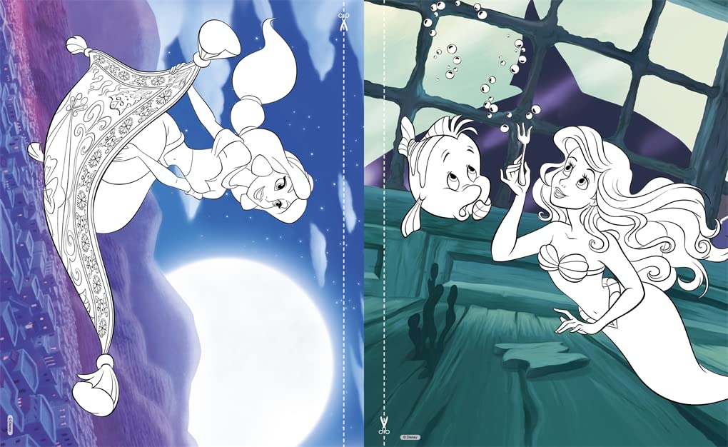 Disney Princess: The Ultimate Colouring Book