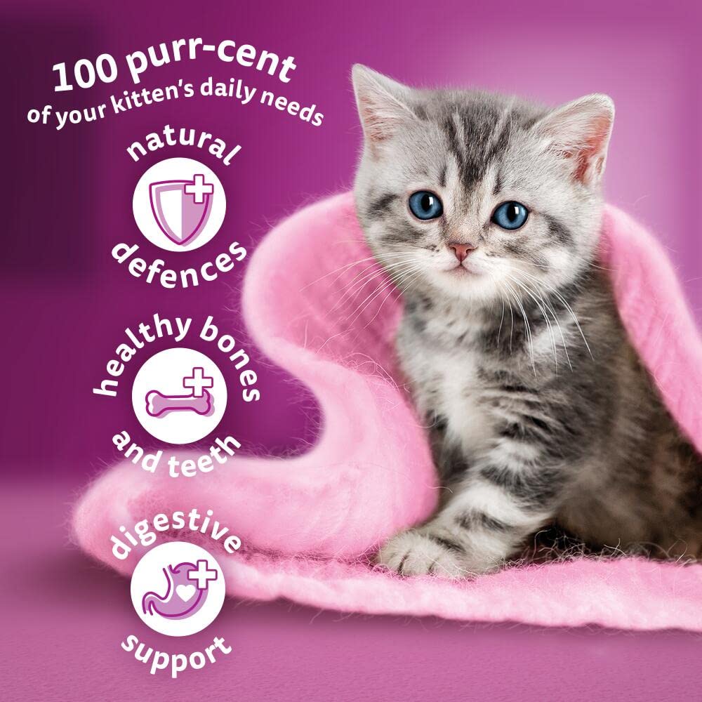 Whiskas Junior Chicken 7 kg Bag, Kitten Cat Dry Food - Pack May Vary