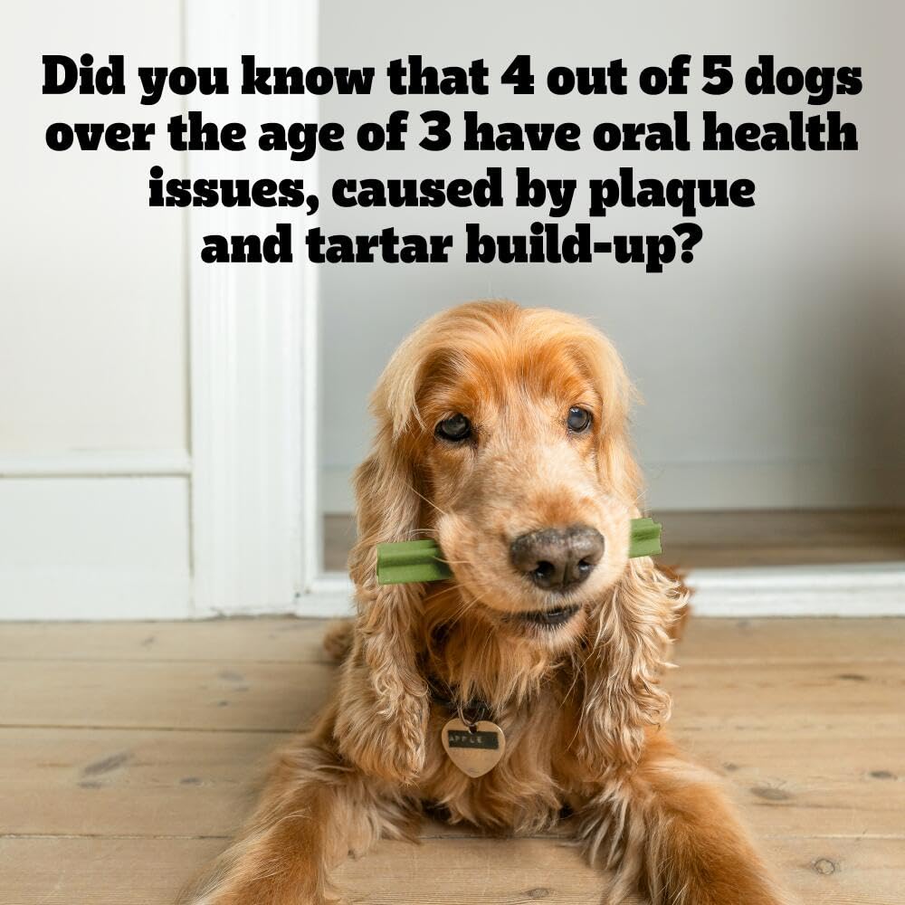 Pedigree DentaStix, Functional Snacks, Daily Dental Chews for Small Dogs (5 -10 kg), Megapack of 16 x 7 (112 Sticks)